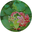 Kallagunta Vani profile picture